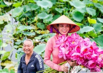 Hanoi West Lake Lotus Tea