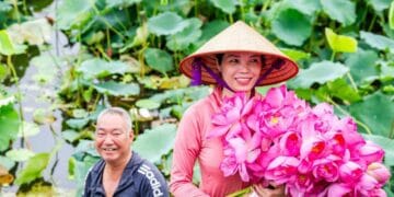 Hanoi West Lake Lotus Tea