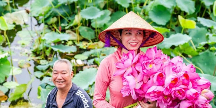 Hanoi West Lake Lotus Tea